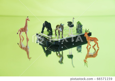 Safari中的硬盤 66571159