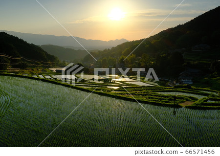 梯田的夜景(奈良縣塔卡市區明日香村) 梯田的夜景(奈良縣塔卡市區明日香村) 66571456