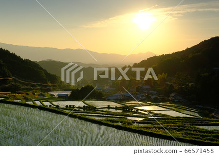 梯田的夜景(奈良縣塔卡市區明日香村) 梯田的夜景(奈良縣塔卡市區明日香村) 66571458