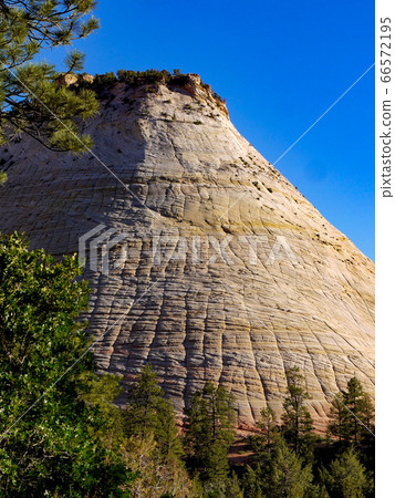Zion National Park Zion National Park 66572195