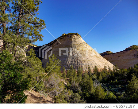 Zion National Park Zion National Park 66572197