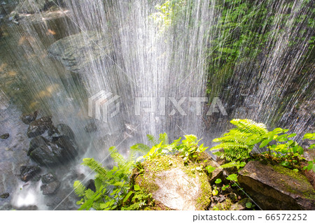 Iwai falls early summer Iwai falls early summer 66572252