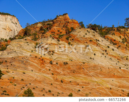 Zion National Park 66572266