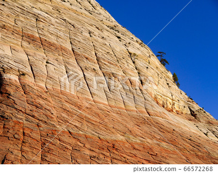 錫安國家公園 66572268