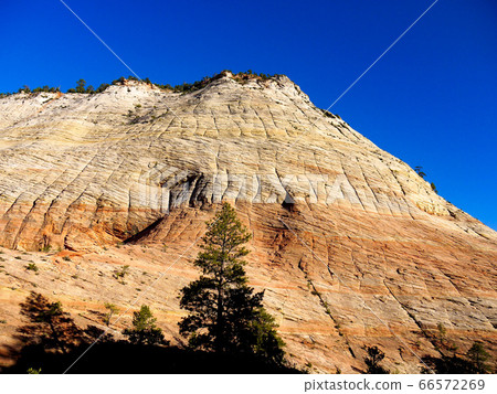 Zion National Park Zion National Park 66572269