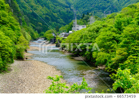 岐阜和新鮮的綠色正川（白川村椿原附近） 66573459