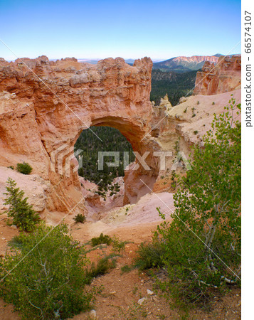 Bryce Canyon - Natural Bridge 66574107