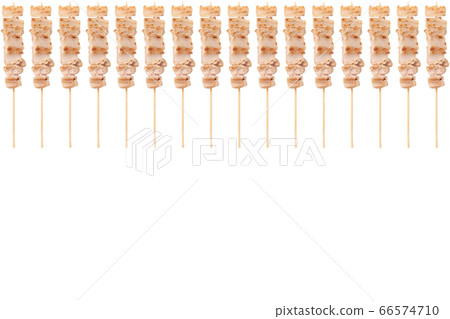 烤雞肉串南光鹽圖像 66574710