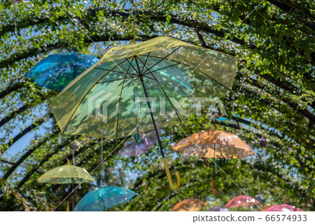 在藍色的天空和綠色中閃耀的花傘 66574933