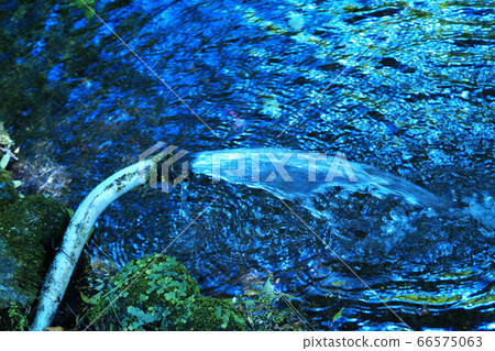 Color flow, river transparent, transparent (registered in June 2020) Maximum size: M Color flow, river transparent, transparent (registered in June 2020) Maximum size: M 66575063