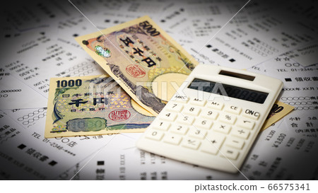 家庭賬戶管理收據和匯款圖片 66575341