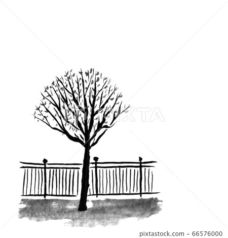 街樹和柵欄(墨水的手繪插圖) 街樹和柵欄(墨水的手繪插圖) 66576000
