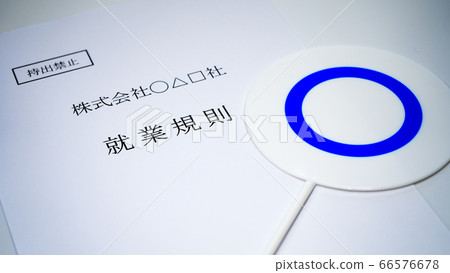 公司工作規則丸之碟 公司工作規則丸之碟 66576678