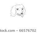Illustration of my dog Dachshund 66576702