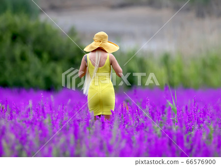 Deep in the purple fields Deep in the purple fields 66576900