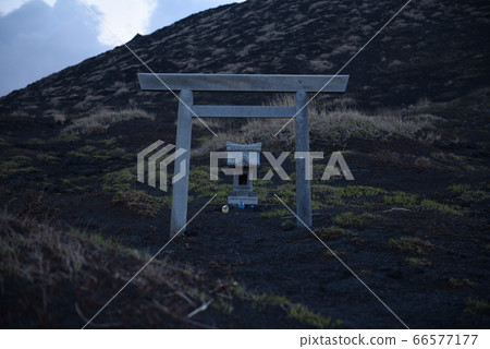 伊豆大島前沙漠的鳥居 66577177