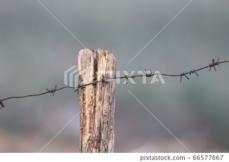 Symbol of unfreedom Symbol of unfreedom 66577667