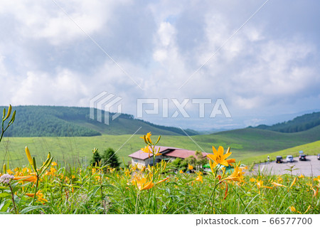 （長野縣）Nikko Kisoge Blooms，夏季Kirigamine 66577700