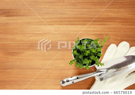 Potted plants and scoops [horticulture, gardening image, natural taste] [background, copy space] 66578019