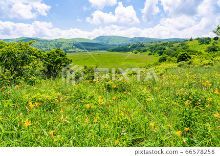 (Nagano Prefecture) Summer Yashimagahara Wetland 66578258
