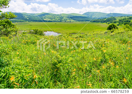 (Nagano Prefecture) Summer Yashimagahara Wetland 66578259