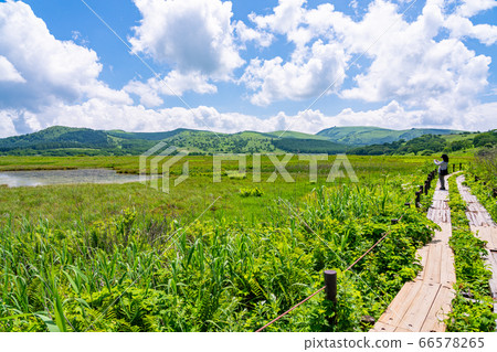 (Nagano Prefecture) Summer Yashimagahara Wetland 66578265