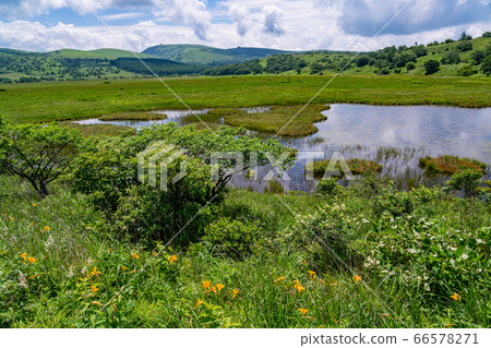 (Nagano Prefecture) Summer Yashimagahara Wetland 66578271