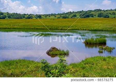 (Nagano Prefecture) Summer Yashimagahara Wetland 66578275