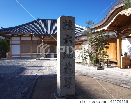 Katsura Kozoji Katsura Kozoji 66579316