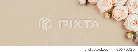 Spring background. Rose flowers on a beige background. 66579329