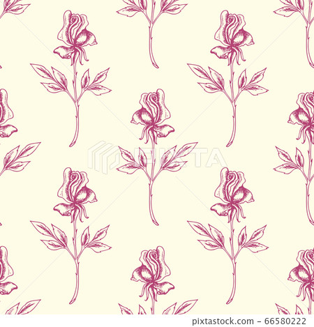 Vintage floral seamless pattern with roses Vintage floral seamless pattern with roses 66580222