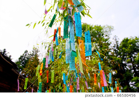 [Miyagi] Summer Sendai National Treasure Osaki Hachimangu Tanabata decoration in front of the shrine (paper strip) 66580456