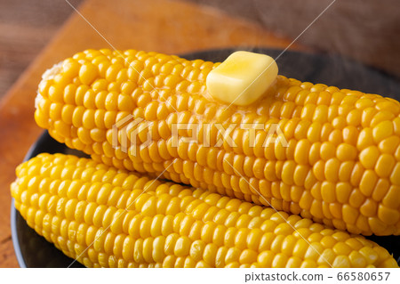 玉米 玉蜀黍 圓筒 66580657