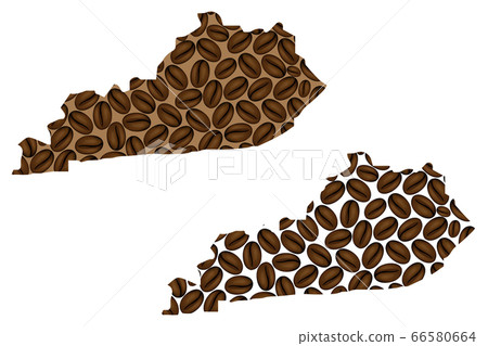 Kentucky -  map of coffee bean 66580664