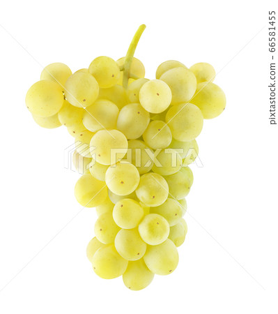 Isolated Thompson white grapes Isolated Thompson white grapes 66581455