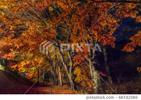 A landscape with beautiful autumn leaves. Original scenery of Japan. A landscape with beautiful autumn leaves. Original scenery of Japan. 66582066
