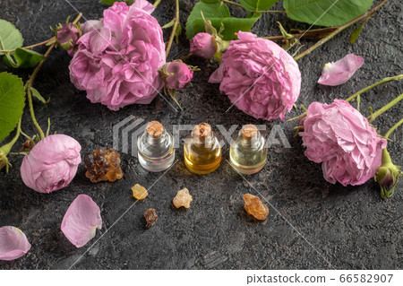 Essential oil bottles with frankincense and Essential oil bottles with frankincense and 66582907