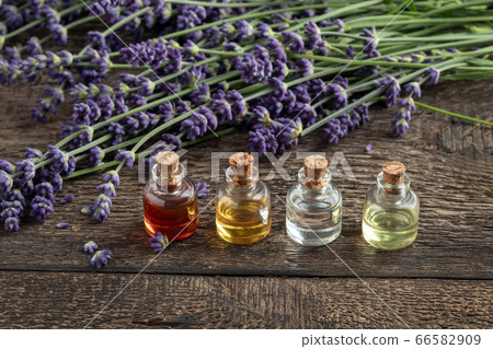 Four bottles of essential oil with fresh blooming lavender Four bottles of essential oil with fresh blooming lavender 66582909