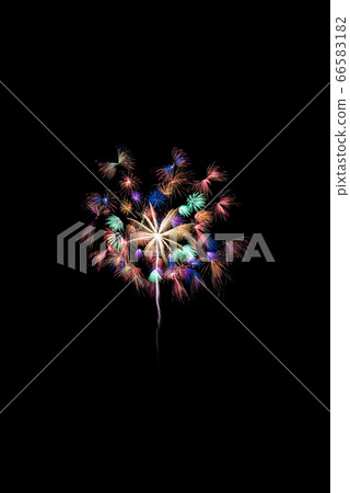 [夏季圖片]煙花 66583182