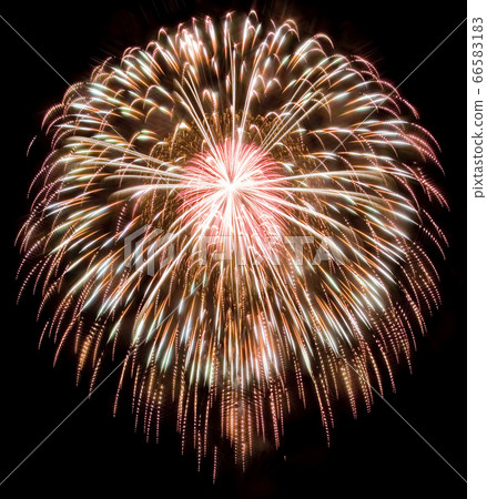 [夏季圖片]煙花 66583183