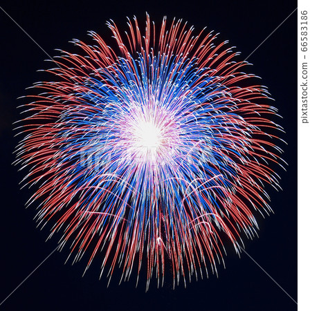 [夏季圖片]煙花 66583186