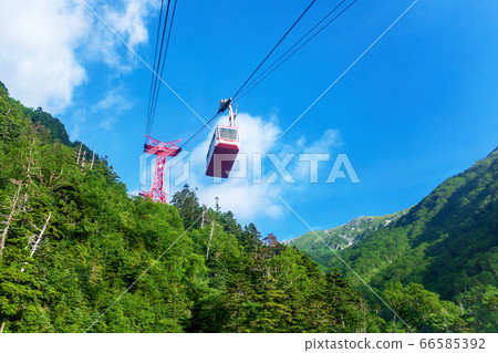 千疊敷捲曲（7月陽光燦爛的夏天） 66585392