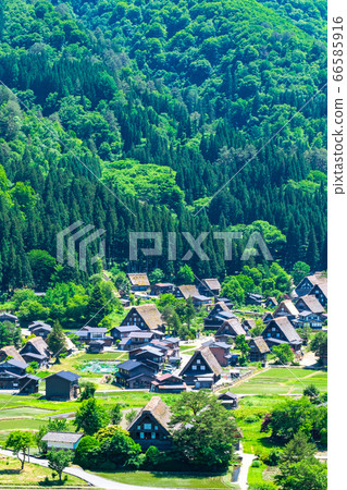 Early summer Shirakawa-go (daytime) Early summer Shirakawa-go (daytime) 66585916
