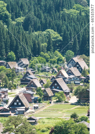 Early summer Shirakawa-go (daytime) Early summer Shirakawa-go (daytime) 66585977