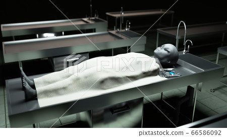 The dead alien in the morgue on the table. Futuristic autopsy concept. 3d rendering. The dead alien in the morgue on the table. Futuristic autopsy concept. 3d rendering. 66586092