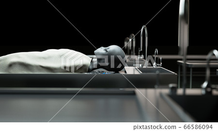 The dead alien in the morgue on the table. Futuristic autopsy concept. 3d rendering. The dead alien in the morgue on the table. Futuristic autopsy concept. 3d rendering. 66586094