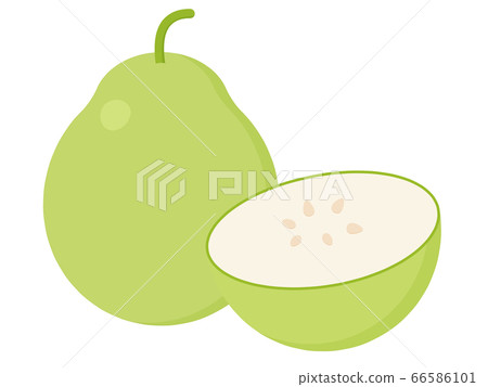 幹葫蘆條 幹葫蘆條 66586101