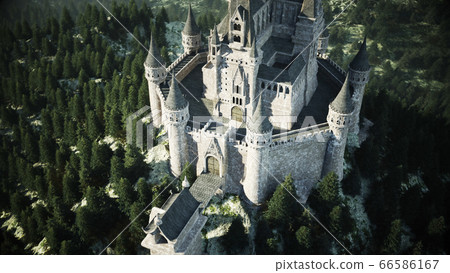 Old fairytale castle on the hill. aerial view. 3d rendering. 66586167