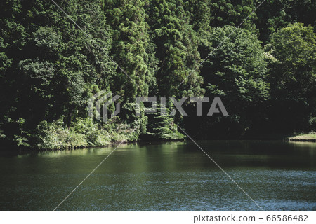 Landscape of forest greenery and waterside h-2 film style 1 66586482