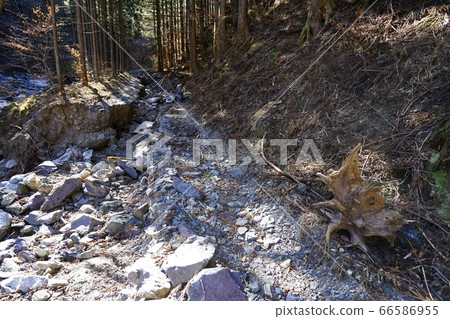 群馬百群山,大澤岳,群馬百草山,七岳橋附近小徑的山間小道,2019年被19號颱風吹倒 群馬百群山,大澤岳,群馬百草山,七岳橋附近小徑的山間小道,2019年被19號颱風吹倒 66586955